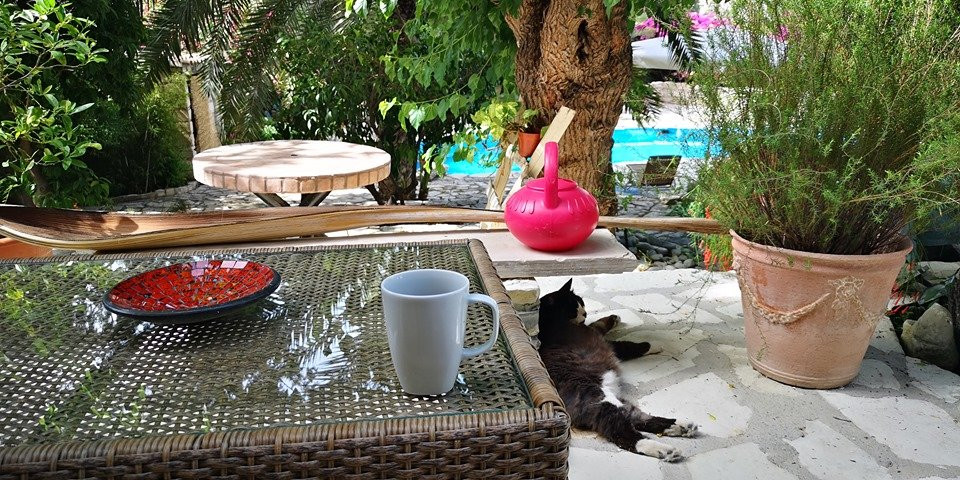 Bougainvillea Guesthouse主图