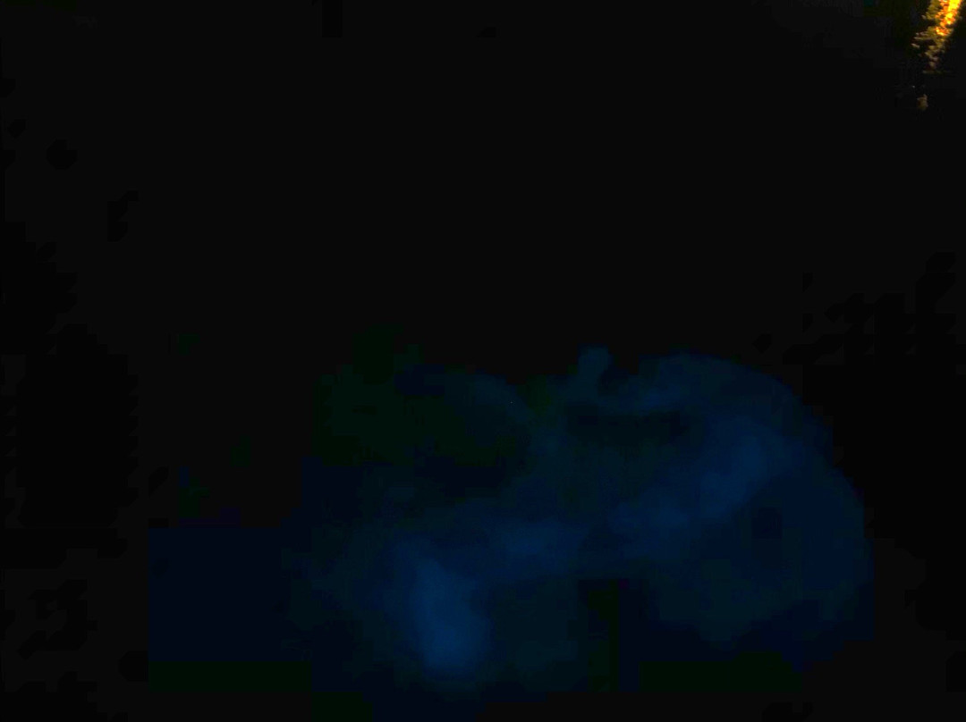 Bioluminescent Bay-大开曼岛必去景点