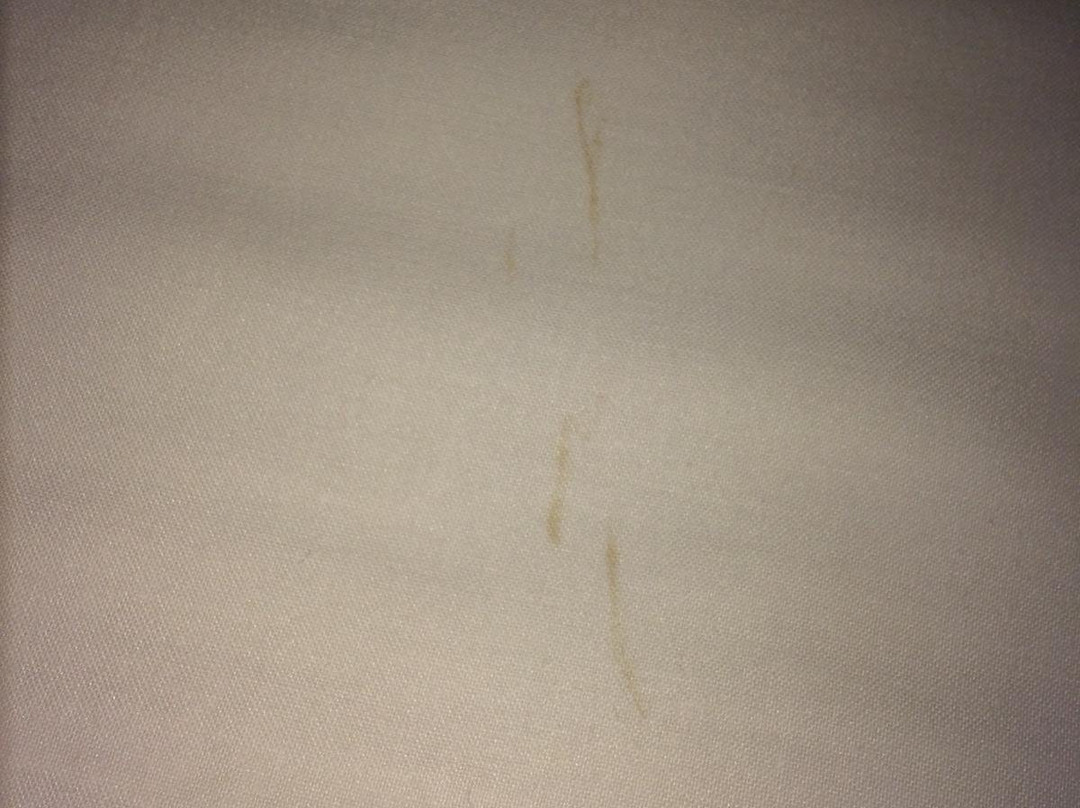 昆德利佛利欧酒店主图