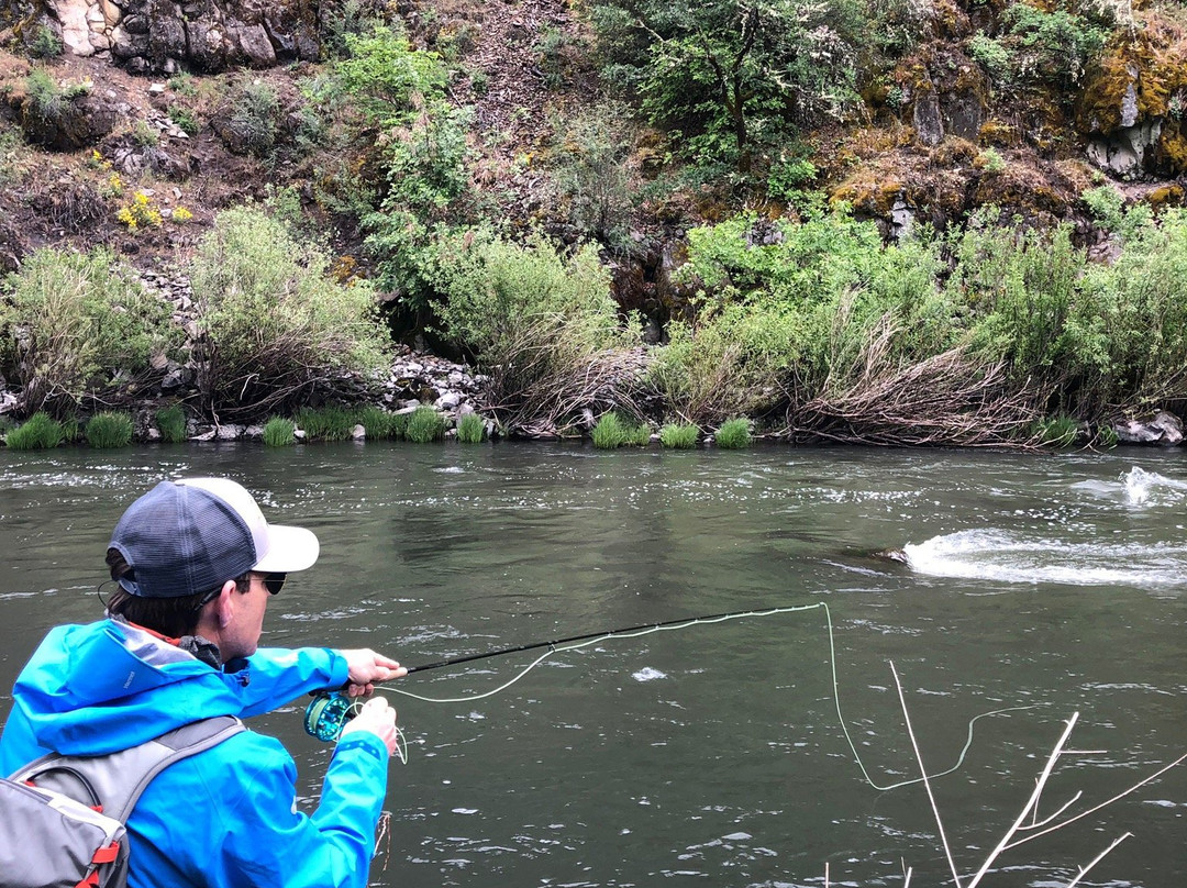 Reel Adventures Guide-雷丁必去景点