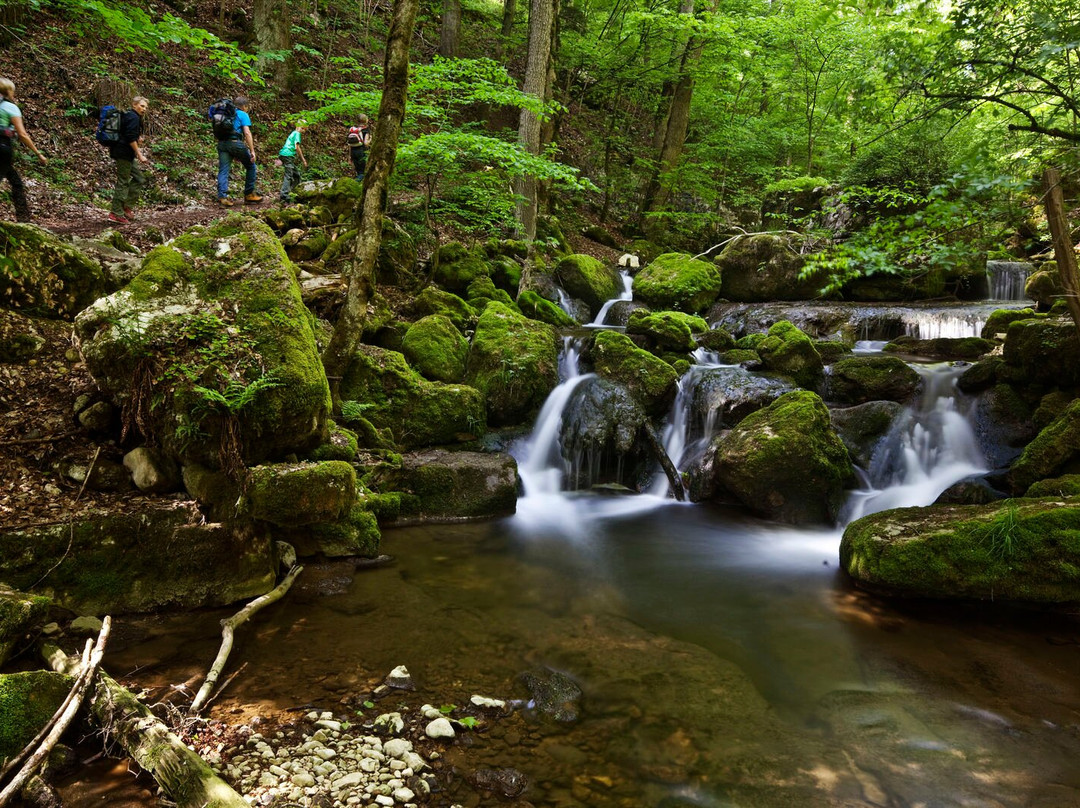 Mord In Der Twannbachschlucht-Preles必去景点