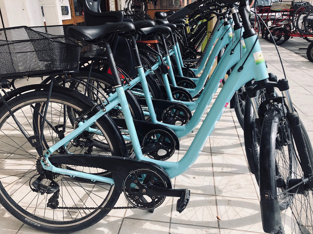 Sun Cycling Rent a Bike-阿尔库迪亚港必去景点