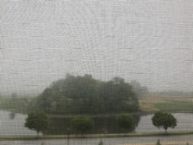 Courtyard Bowie主图