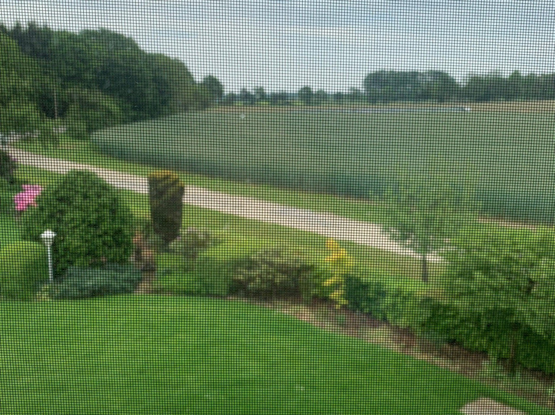 Zum Becklinger Holz