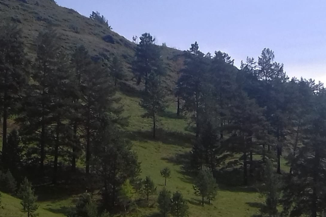 Biryuza Altaya