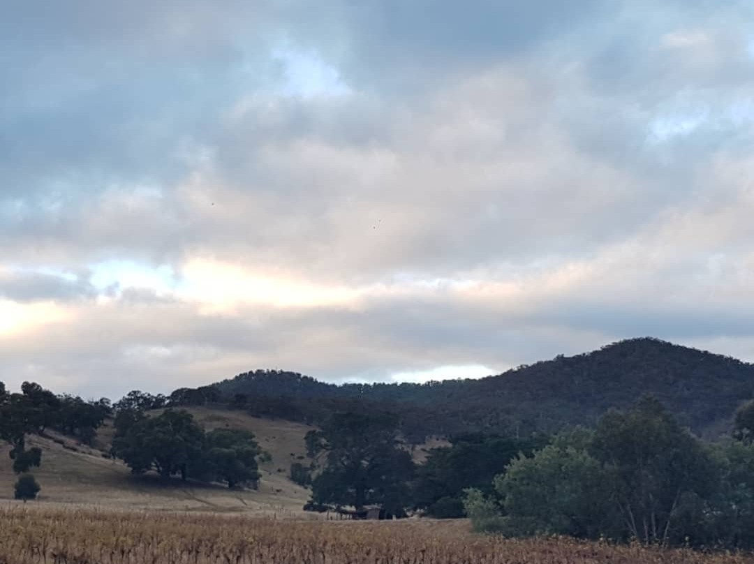 Mountainside Wines-Warrak必去景点