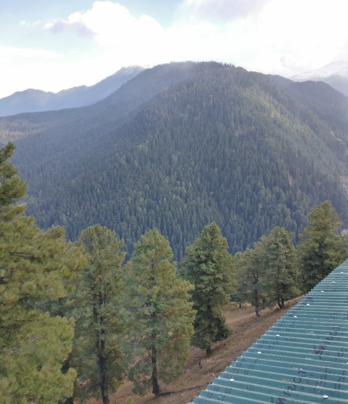 Gulmarg Meadows主图