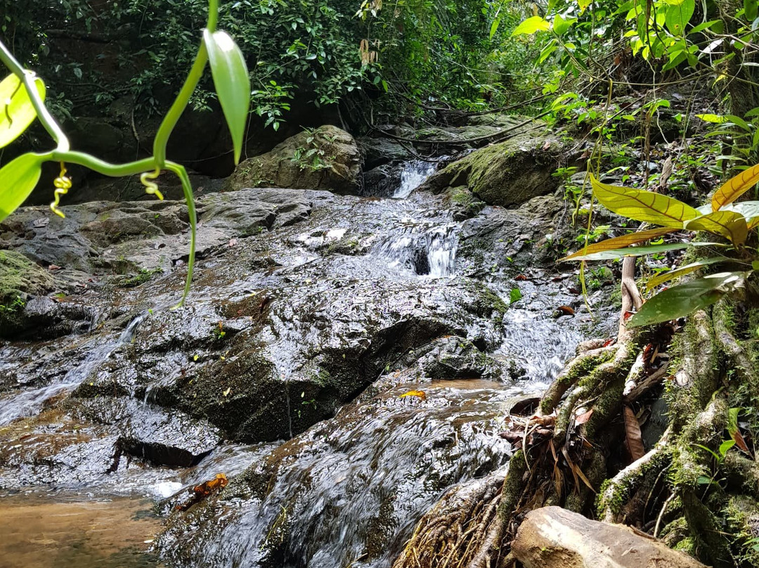 Ton Sai Waterfall景点图片
