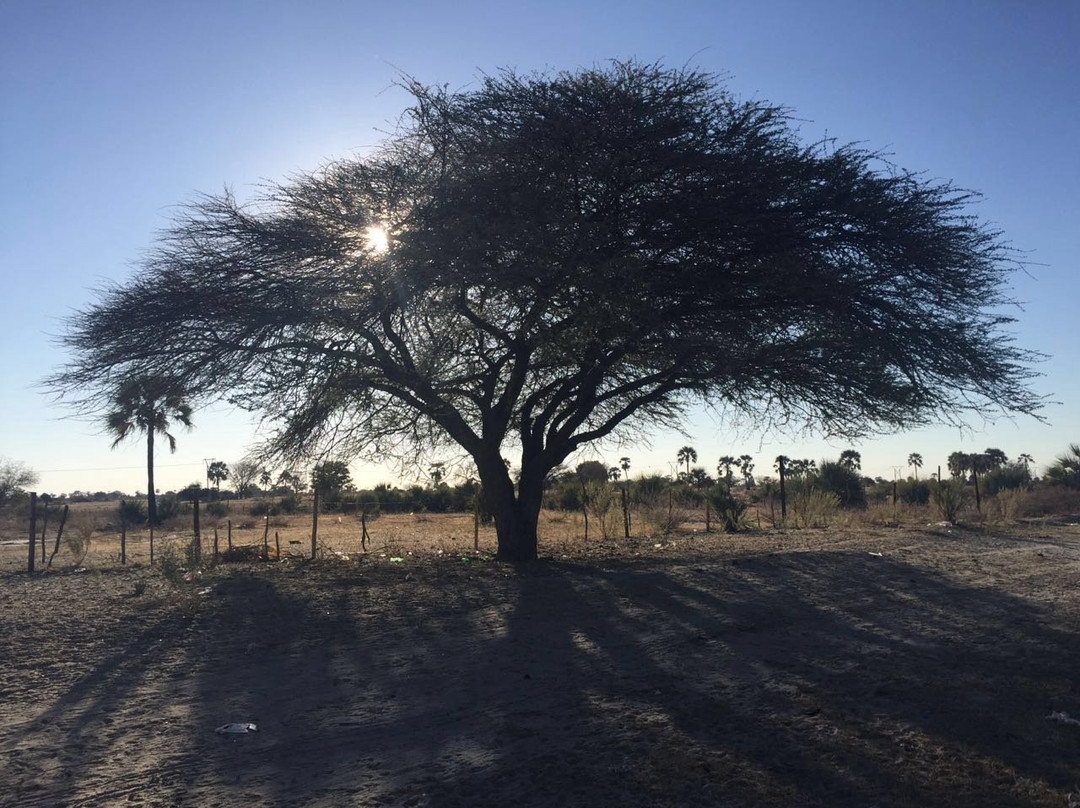 Oshakati Guest House主图