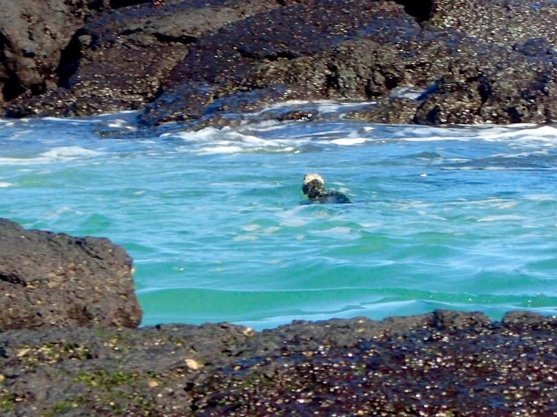 Hotel La Casa De Marita主图