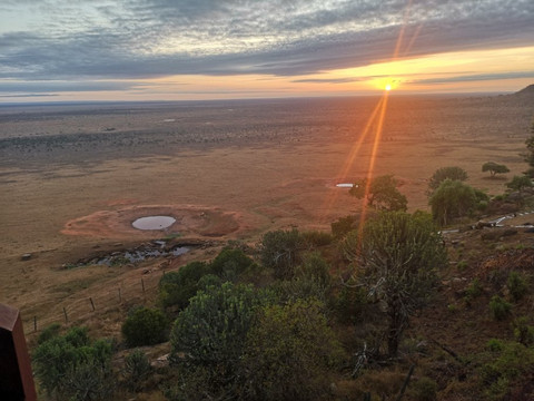 Isaac MK Safaris Day Tours