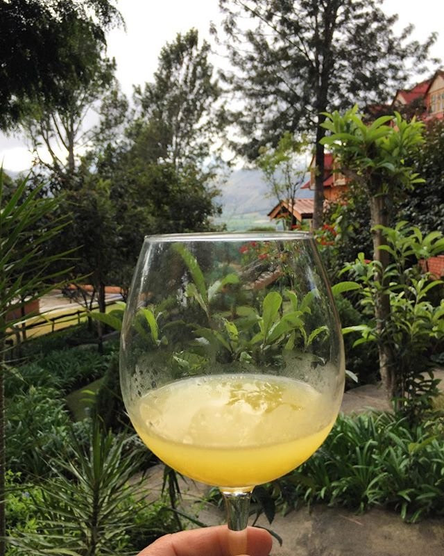 Rancho Constanza主图