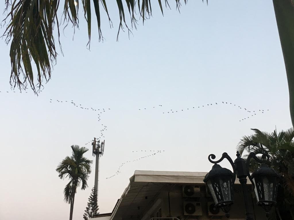 Meritas Countryside Resort主图