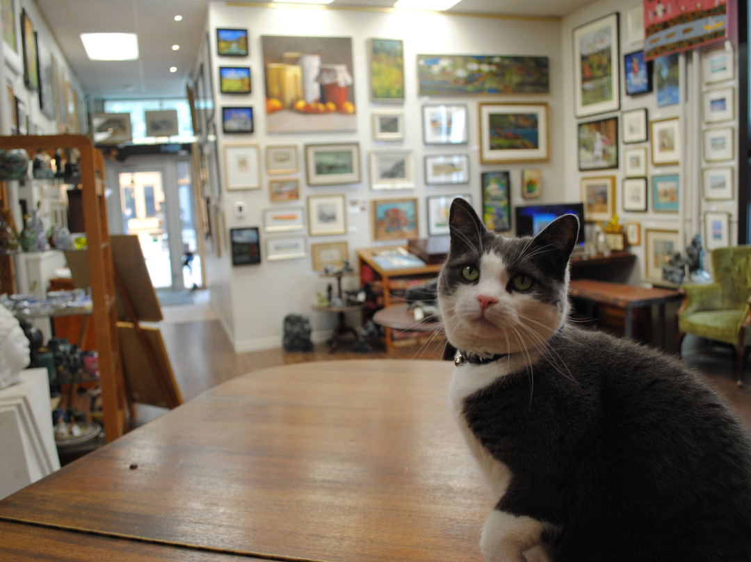 Cobalt Art Gallery-圣约翰必去景点