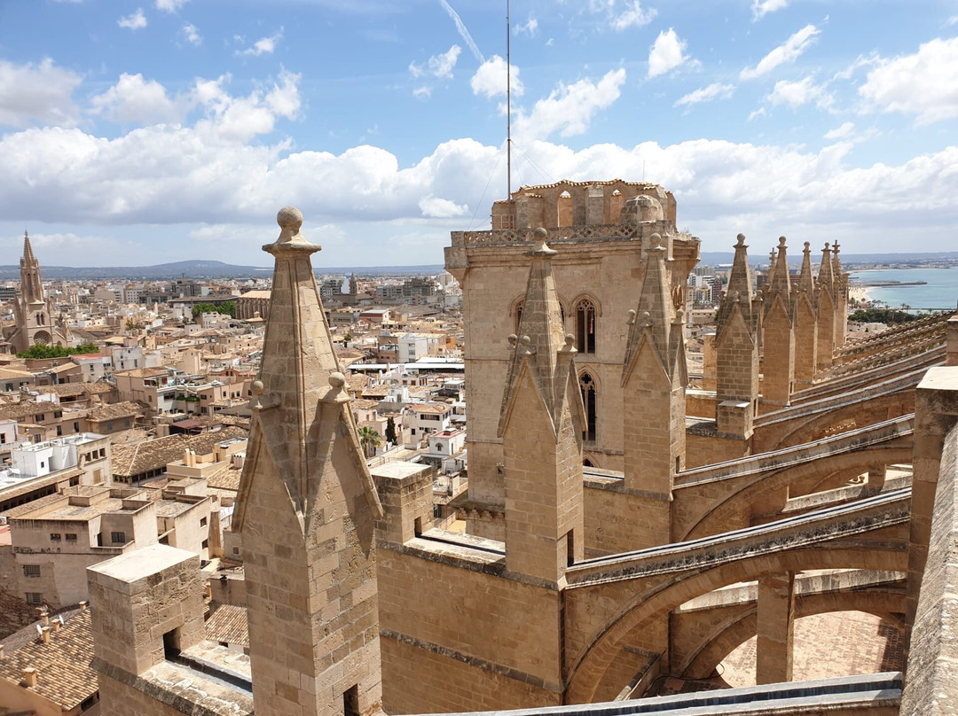 Terrazas de la Catedral de Palma景点图片