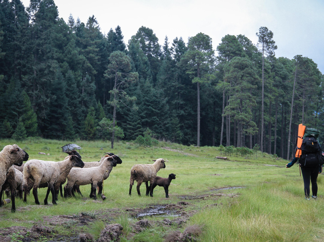 Volare Xtreme-巴耶－德布拉沃必去景点