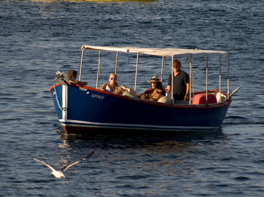 Flamingo Boat Tours Cascais景点图片