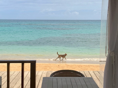 Raymond Tours Samana-Santa Barbara de Samana必去景点