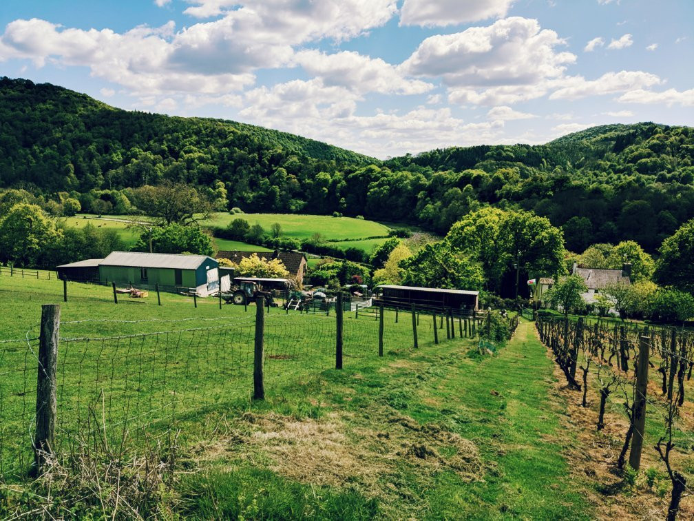 Parva Farm Vineyard景点图片