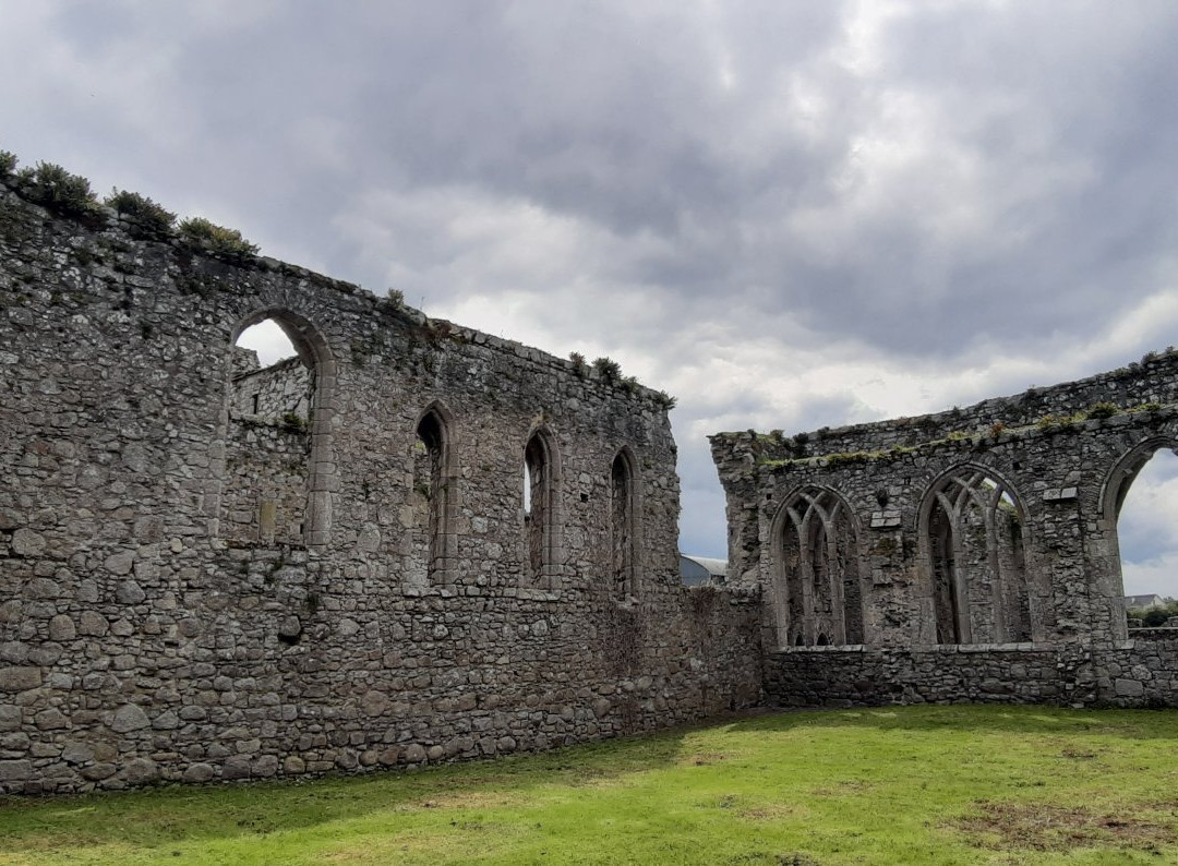 Castledermot Friary景点图片
