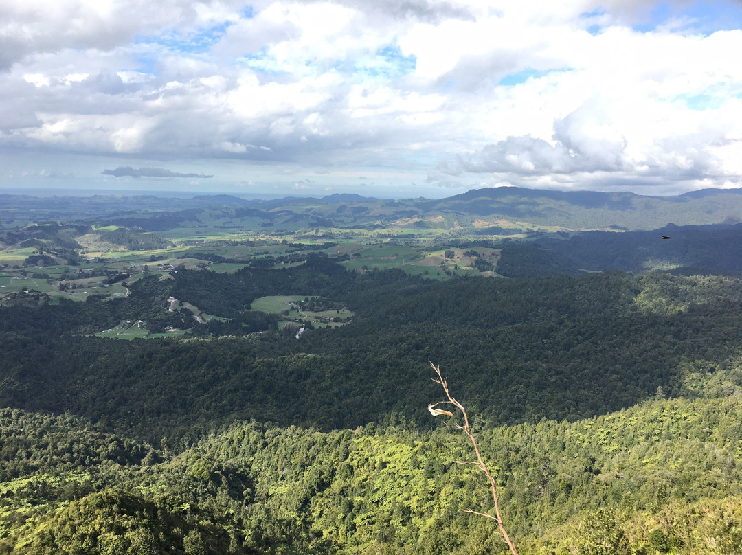 Karangahake Mountain Track Loop-Waikino必去景点