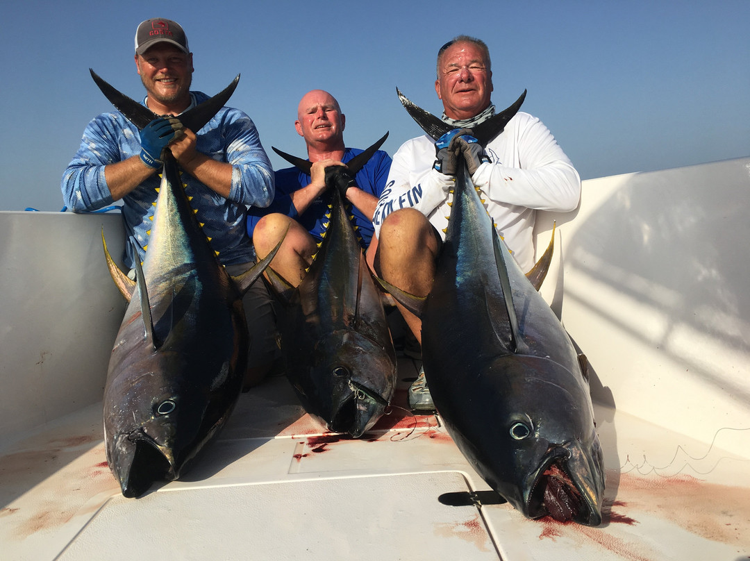 Offshore Adventures - Day Fishing Charters景点图片