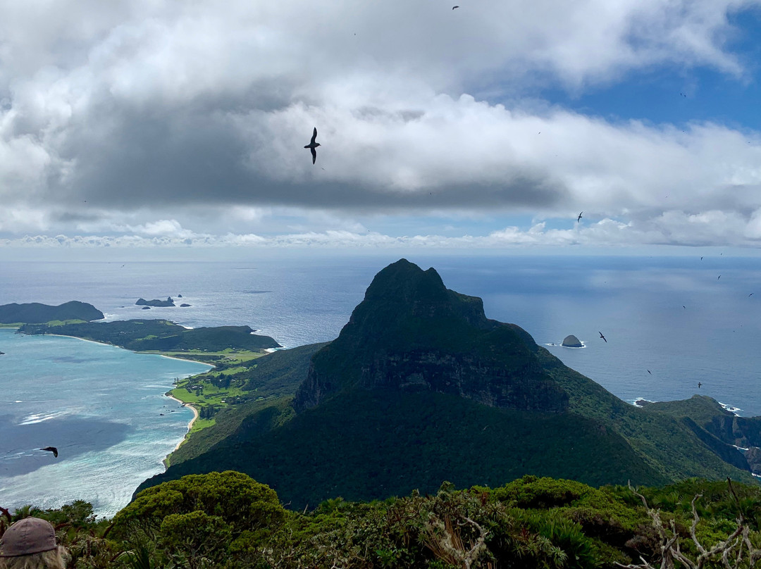 豪勋爵群岛旅游景点-Mt Gower