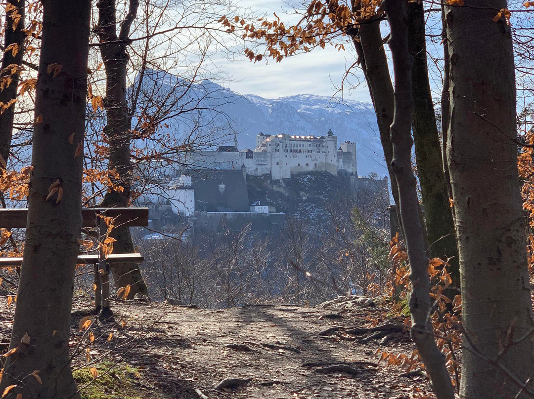 Salzburg-萨尔茨堡必去景点