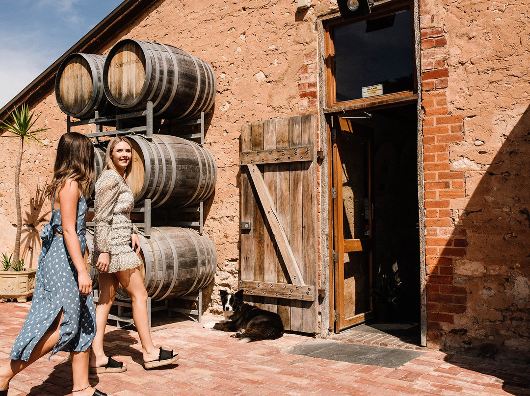 Shingleback Wine Cellar Door景点图片