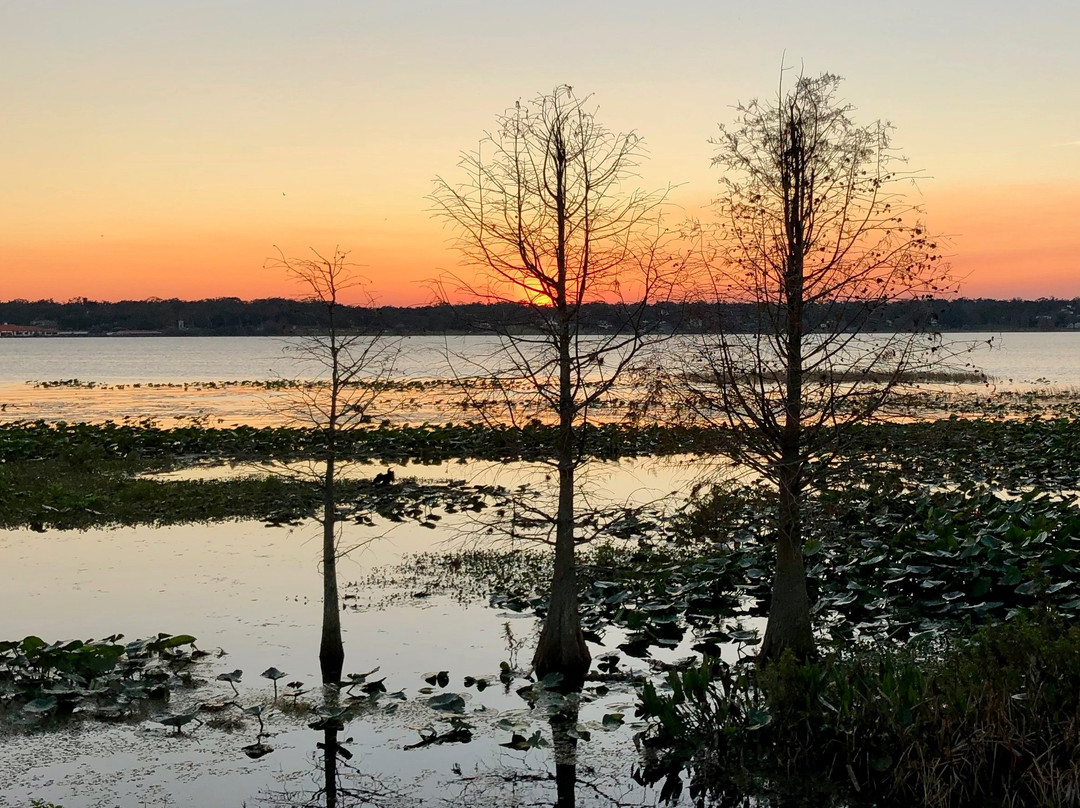 Lake Hollingsworth-莱克兰必去景点
