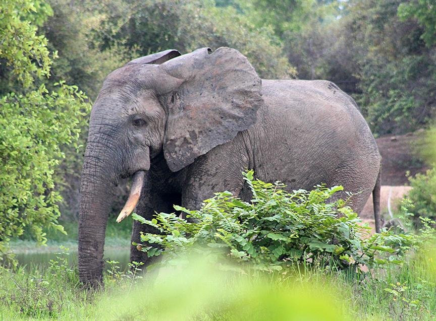 Best Ghana Tours-Tamale必去景点