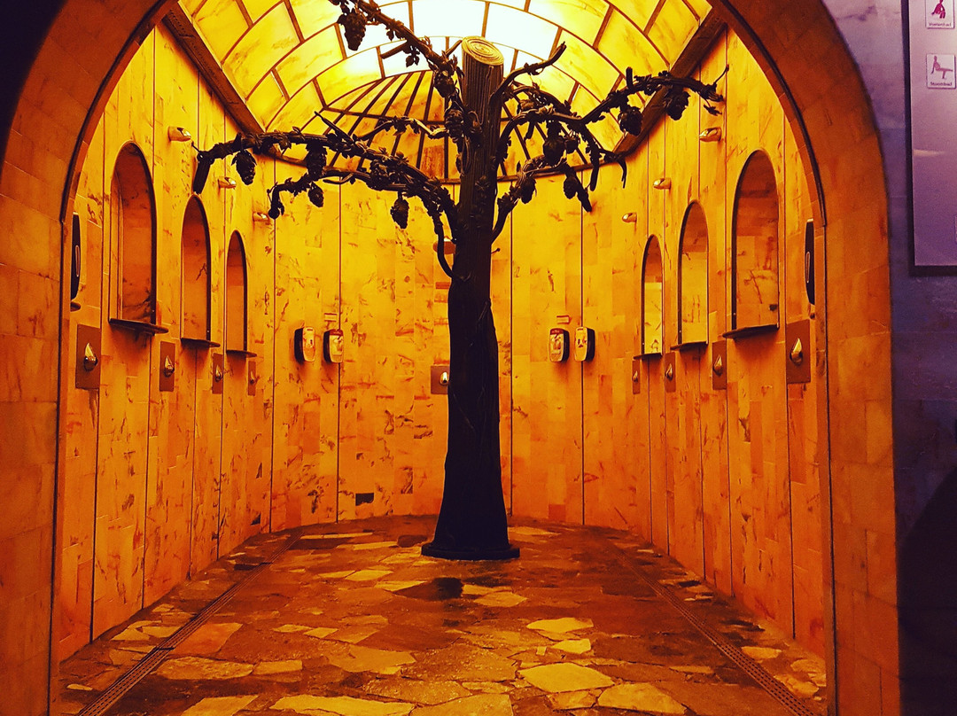 Sauna van Egmond-哈勒姆必去景点