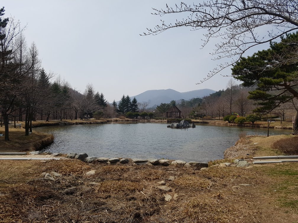 Botanical Garden Of Gyeongsangbukdo-浦项市必去景点