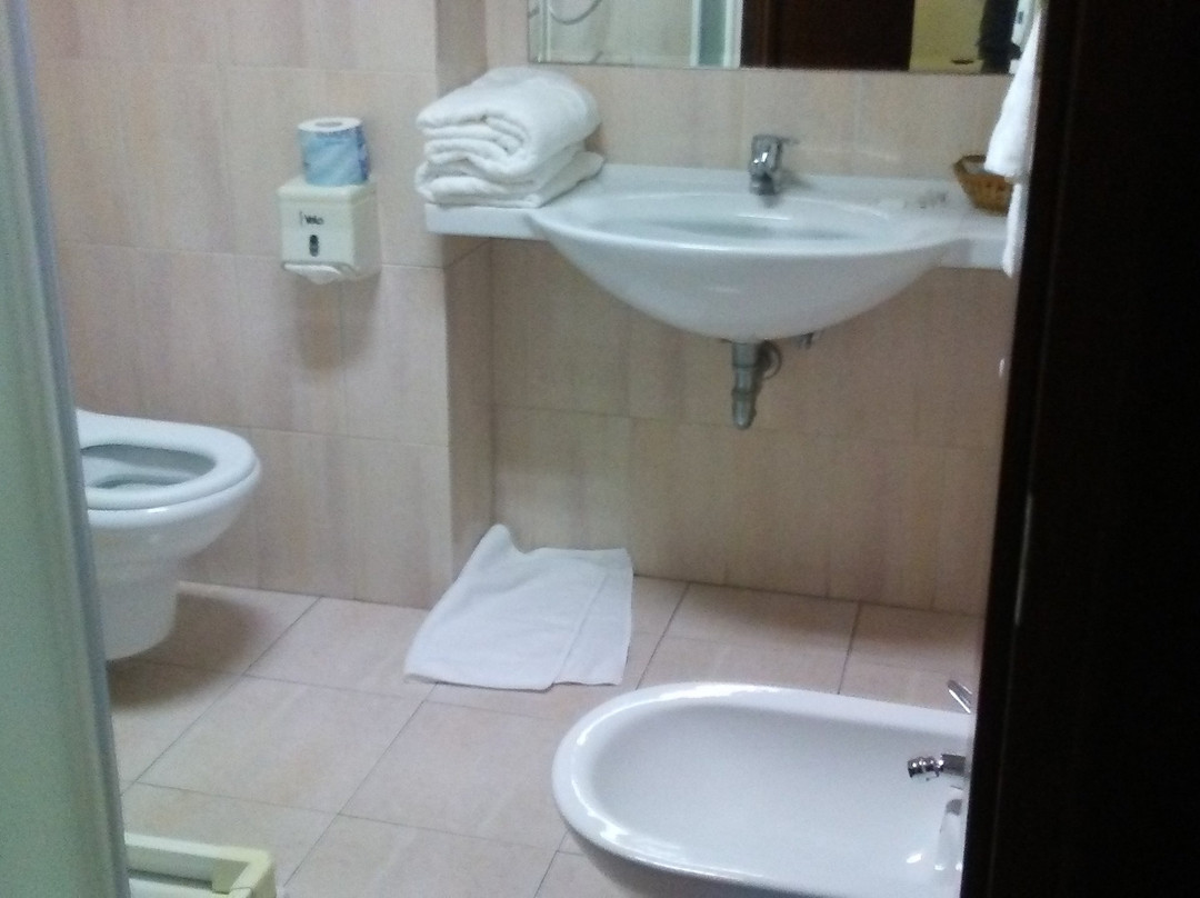 Hotel Vittoria主图