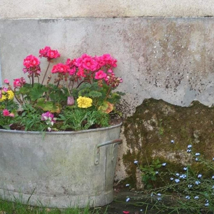 Le Chene Vert Chambres D'Hotes主图