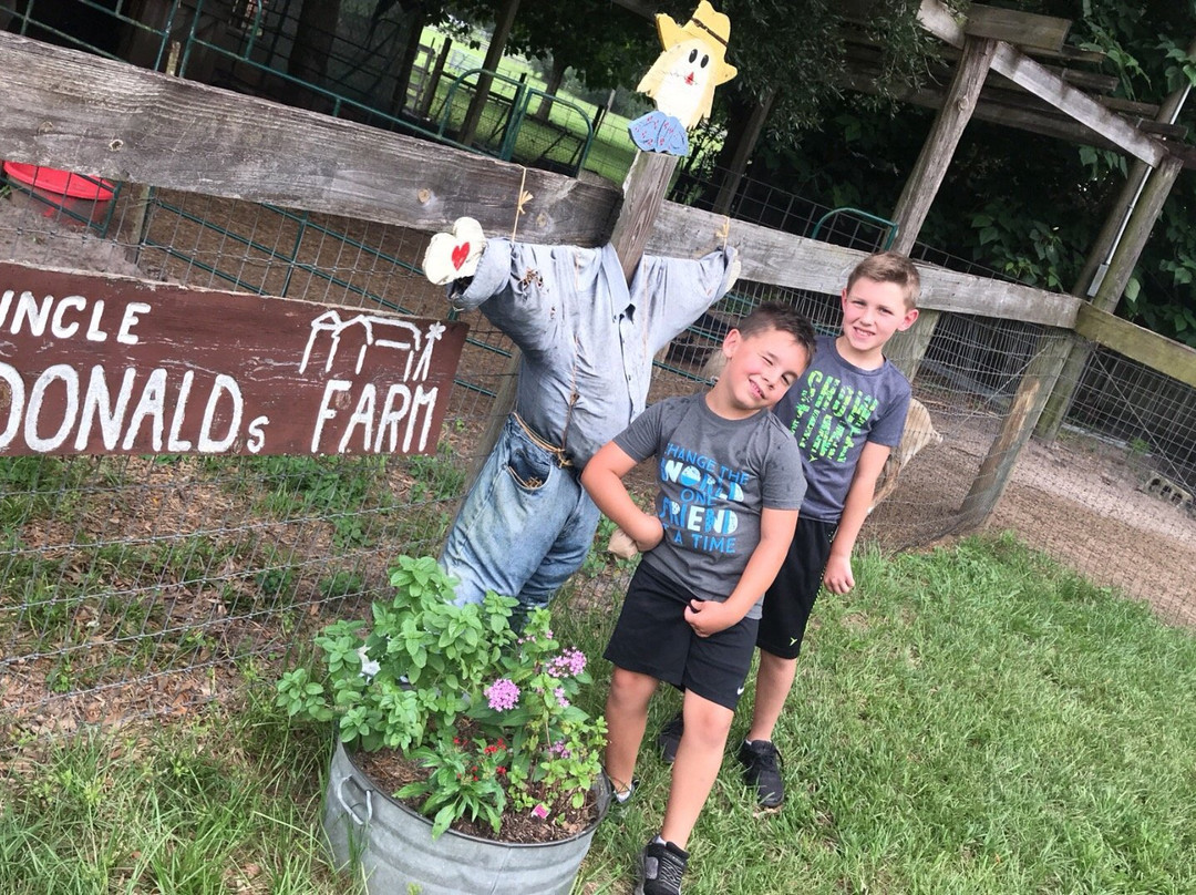 Uncle Donald's Farm-Lady Lake必去景点