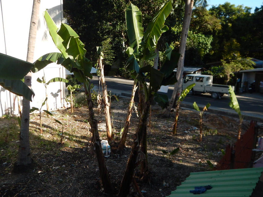 ABF Seaside Tourist Inn主图