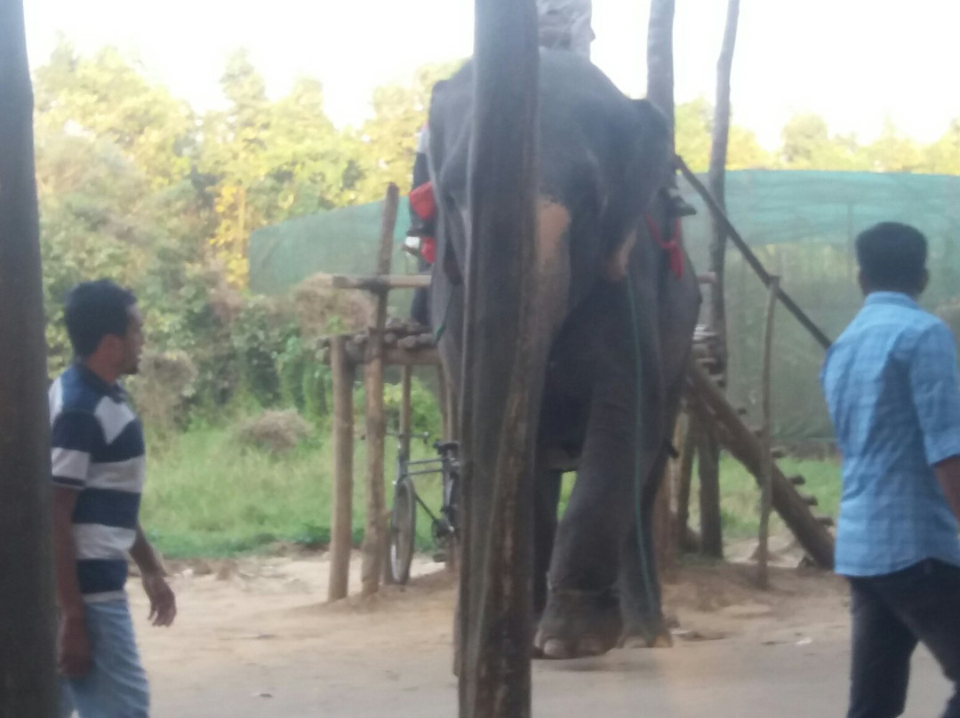 Rajendra Eco Resort主图