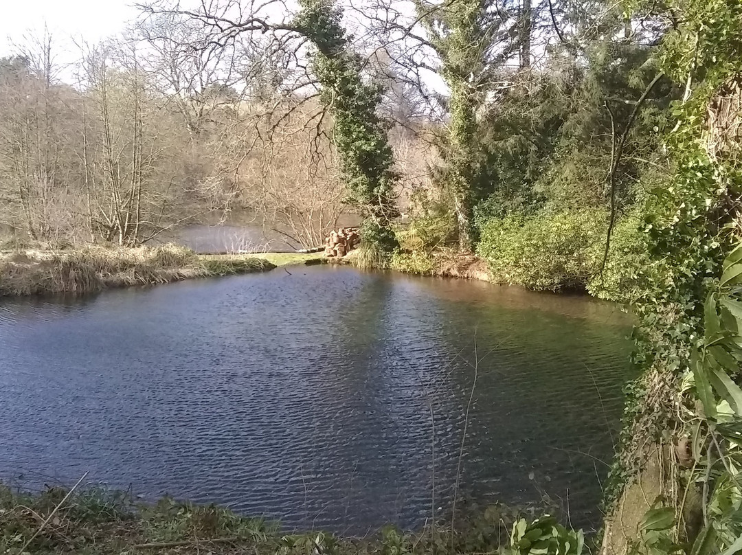 Drews Pond Nature Reserve-迪韦齐斯必去景点