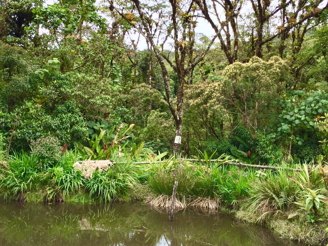 Refugio de Vida Silvestre Cerro Dantas景点图片
