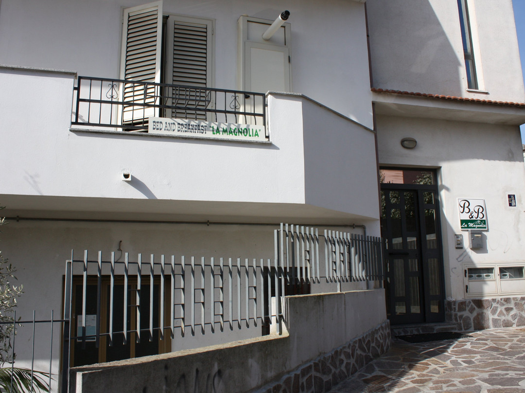 B&B La Magnolia主图