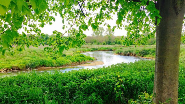 Hotel Bergheim主图