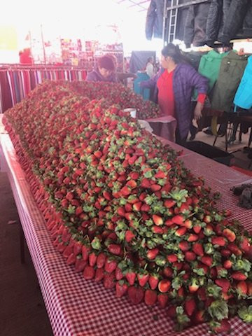 Tianguis De Los Martes-圣米格尔护城必去景点