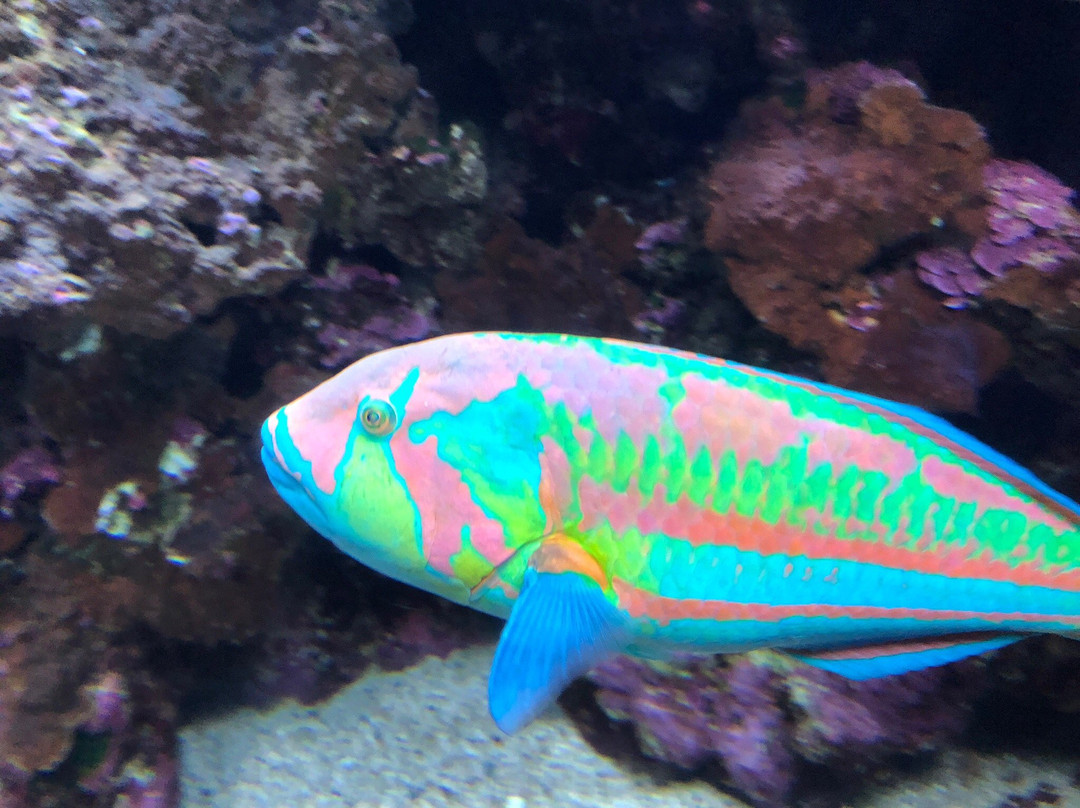 Ocean Science Discovery Center-怀露库必去景点