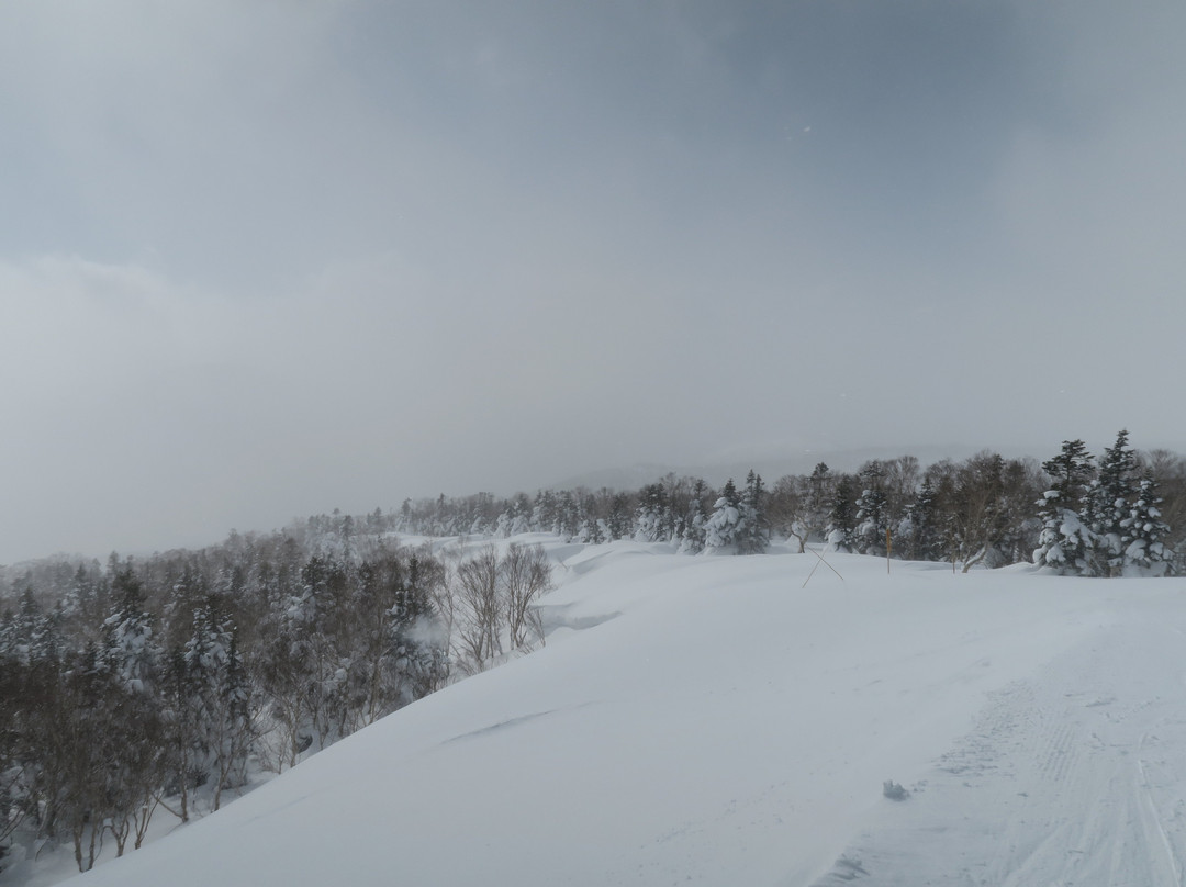 Amihari Onsen Ski Area景点图片