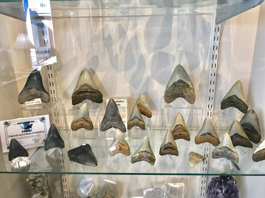 Stoneworks Lapidary-里霍博斯比奇必去景点