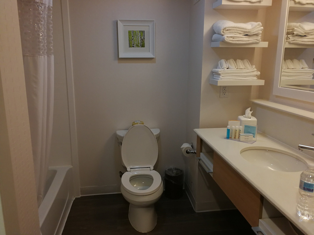 Hampton Inn & Suites by Hilton Bolton主图