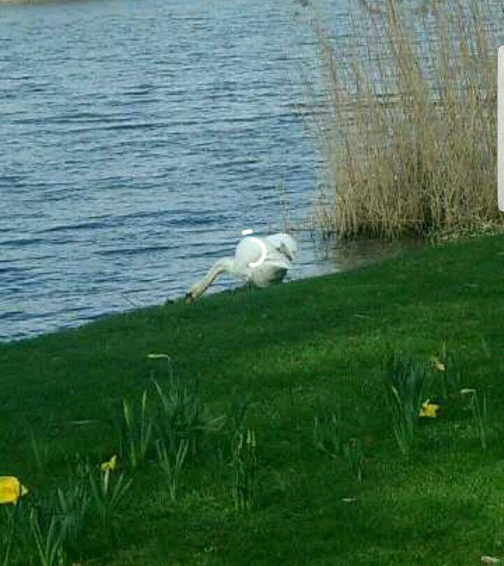 Lac de Creutzwald-Creutzwald必去景点