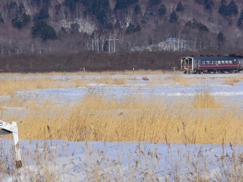 Bekkanbeushi Wetland-厚岸町必去景点