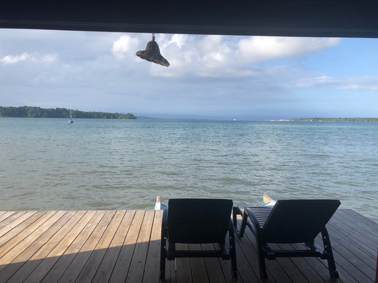 The Sea Monkey主图